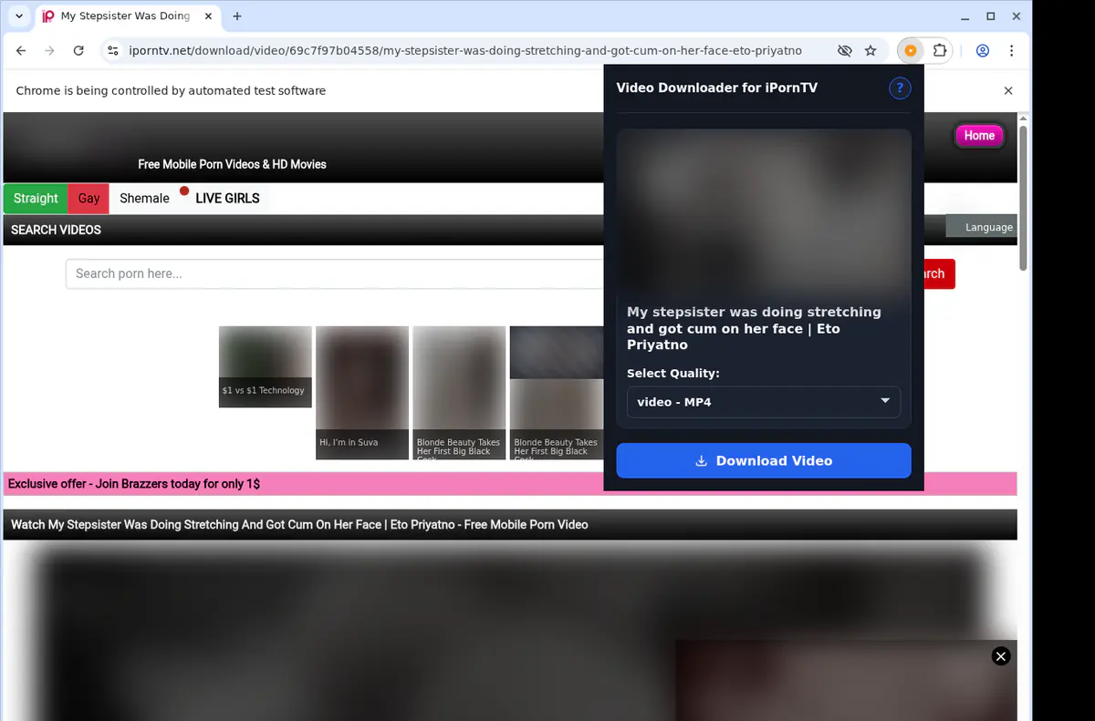 Iporntv Video Downloader browser extension screenshot 3